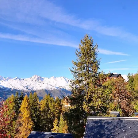 Chalet De Charme 6 Pers. A Vallandry Pres Des Pistes Et Commerces *